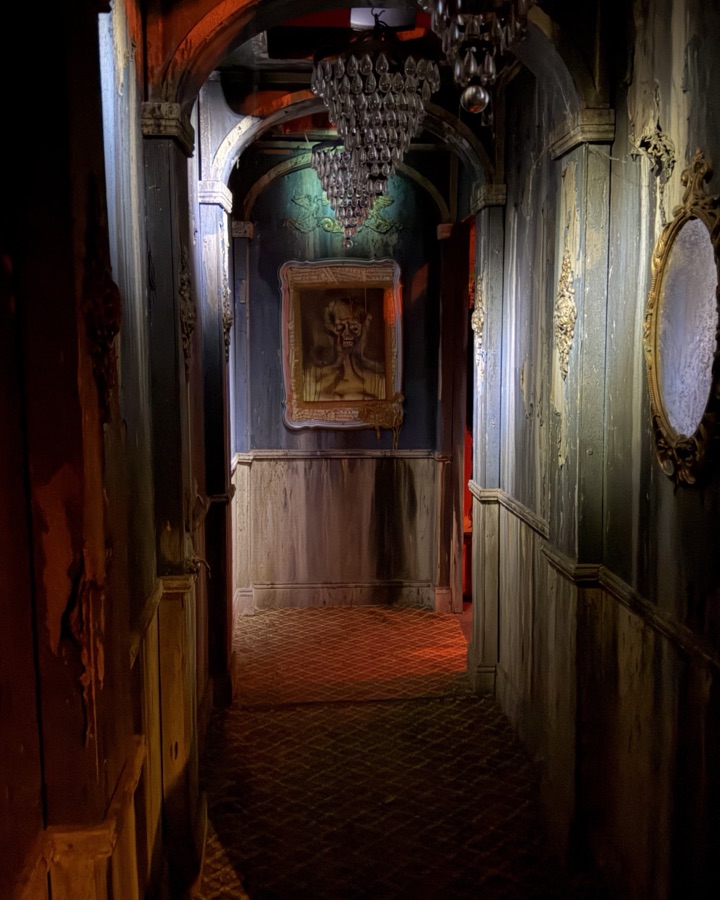 A narrow panelled hallway under a chandelier, gilt mirrors and a portrait on the walls